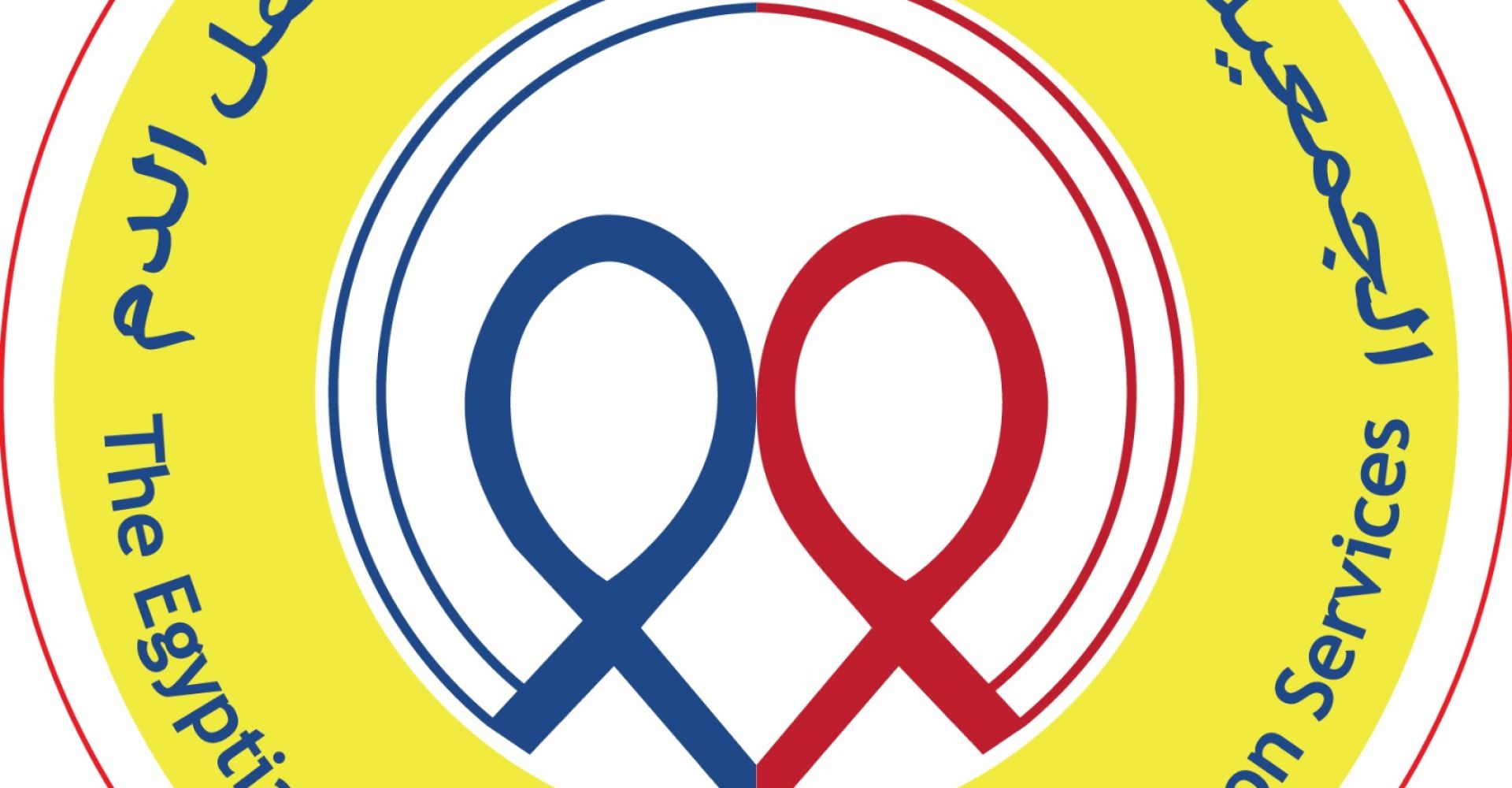 The Egyptian Society for Blood Transfusion Services