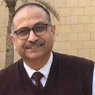 Hani Al-Sayed Hassan Quroun