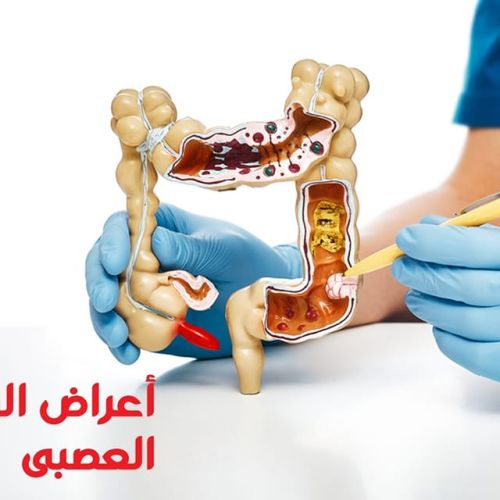 The Egyptian Society for Blood Transfusion Services