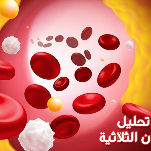 The Egyptian Society for Blood Transfusion Services