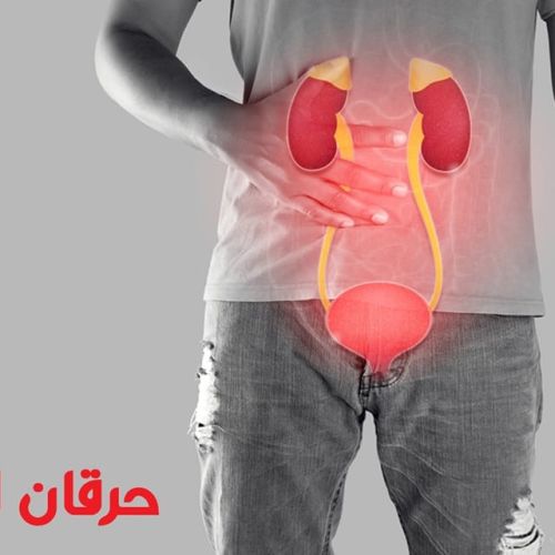 The Egyptian Society for Blood Transfusion Services