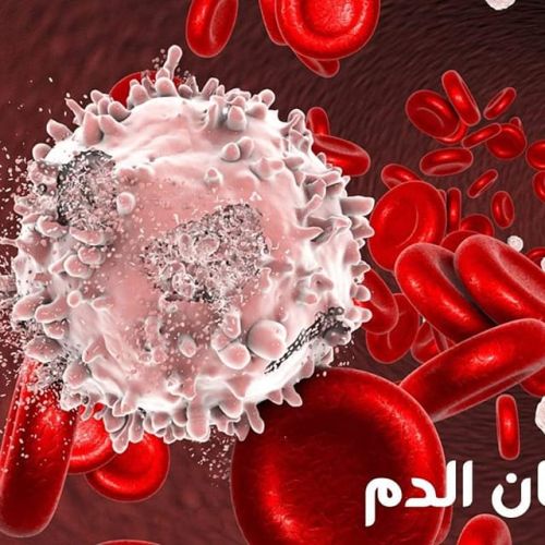 The Egyptian Society for Blood Transfusion Services
