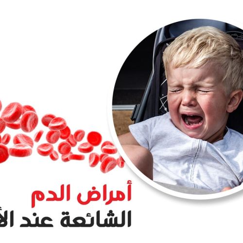 The Egyptian Society for Blood Transfusion Services