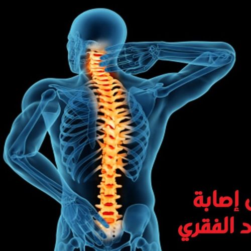 The Egyptian Society for Blood Transfusion Services