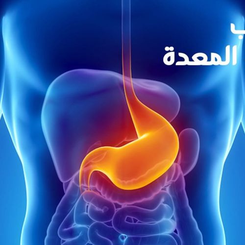 The Egyptian Society for Blood Transfusion Services