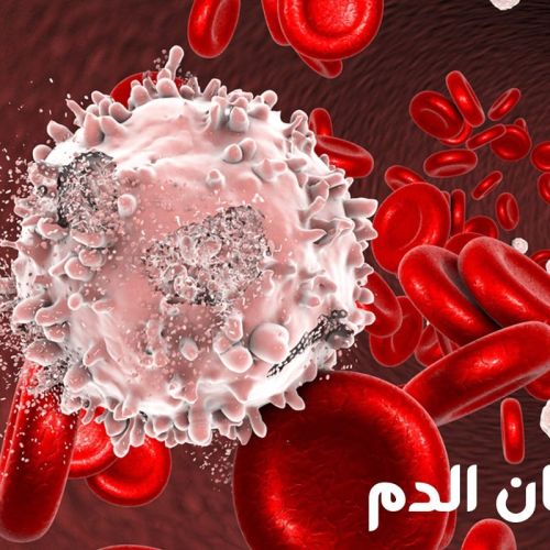 The Egyptian Society for Blood Transfusion Services