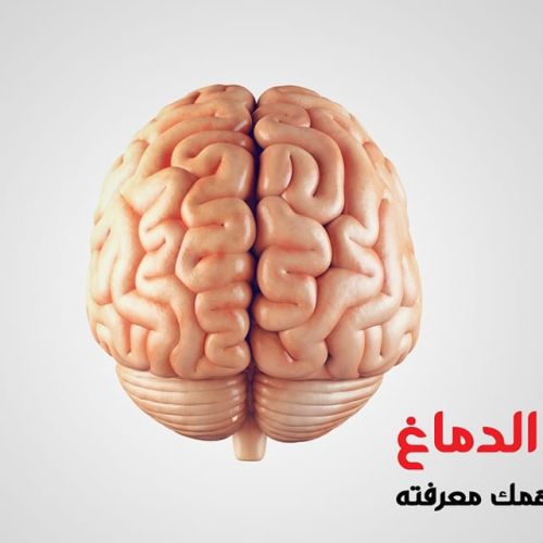 The Egyptian Society for Blood Transfusion Services