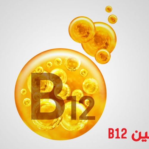 The Egyptian Society for Blood Transfusion Services