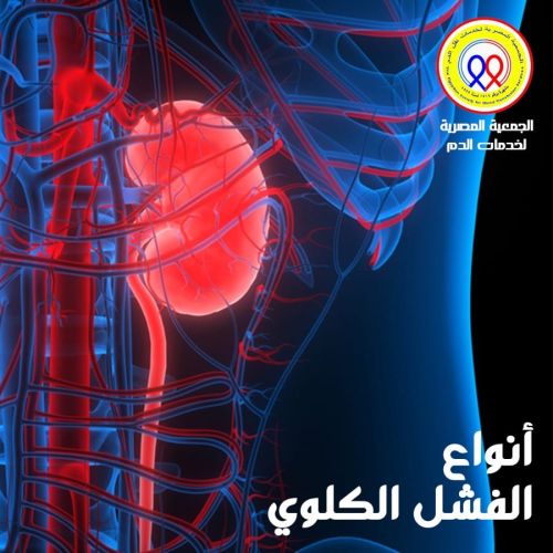 The Egyptian Society for Blood Transfusion Services