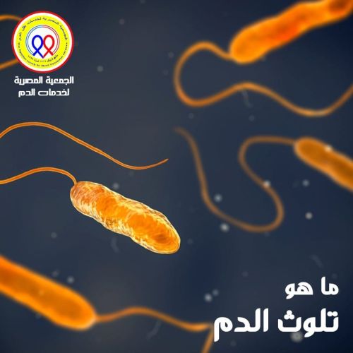 The Egyptian Society for Blood Transfusion Services