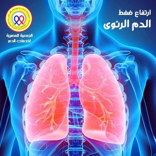 The Egyptian Society for Blood Transfusion Services