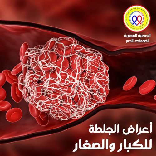 The Egyptian Society for Blood Transfusion Services