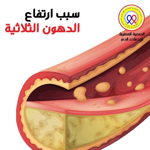 The Egyptian Society for Blood Transfusion Services