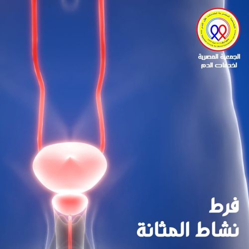 The Egyptian Society for Blood Transfusion Services