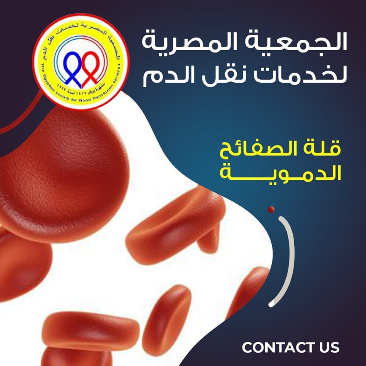 The Egyptian Society for Blood Transfusion Services