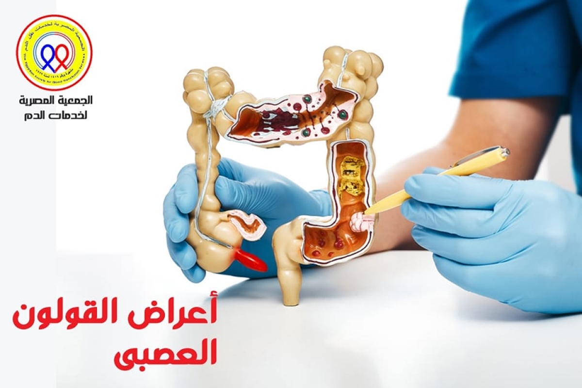 The Egyptian Society for Blood Transfusion Services