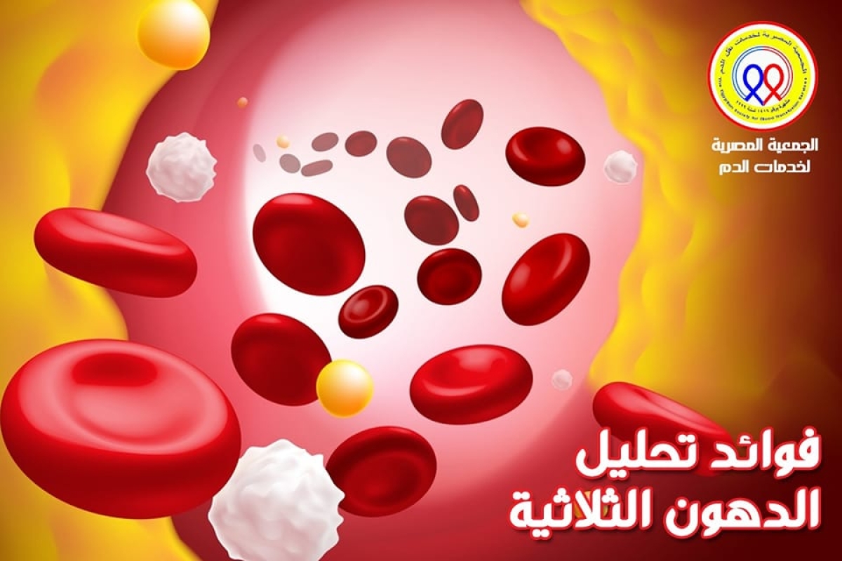 The Egyptian Society for Blood Transfusion Services