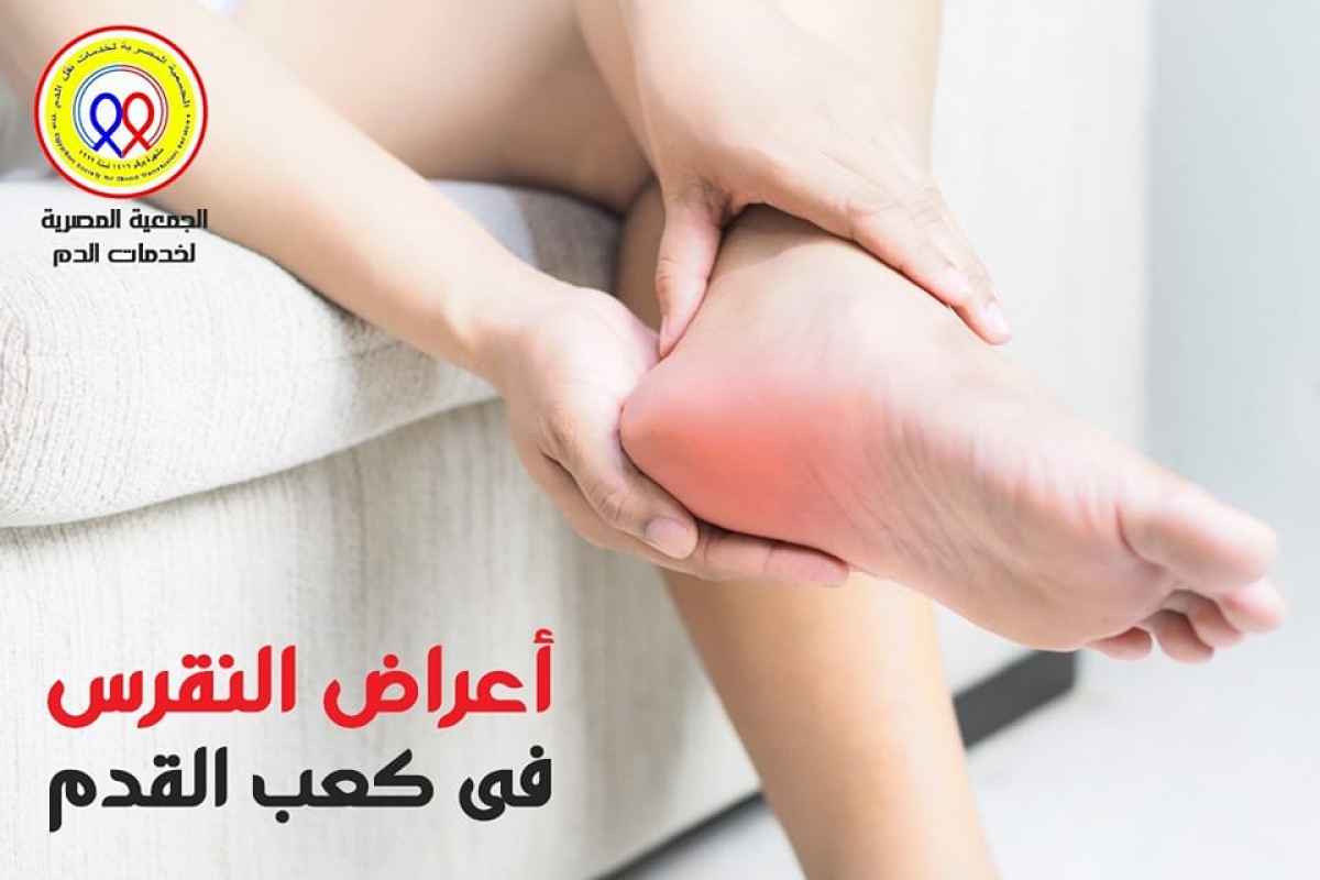 The Egyptian Society for Blood Transfusion Services