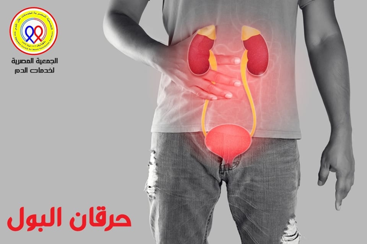 The Egyptian Society for Blood Transfusion Services