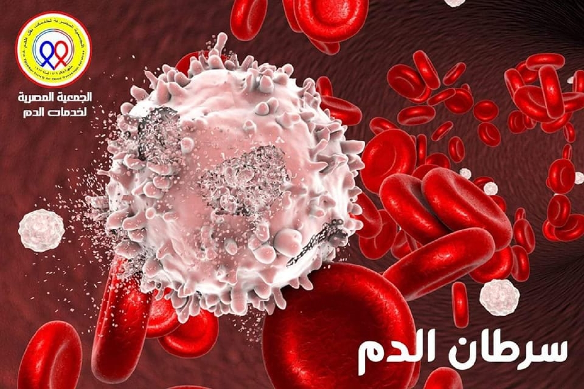 The Egyptian Society for Blood Transfusion Services