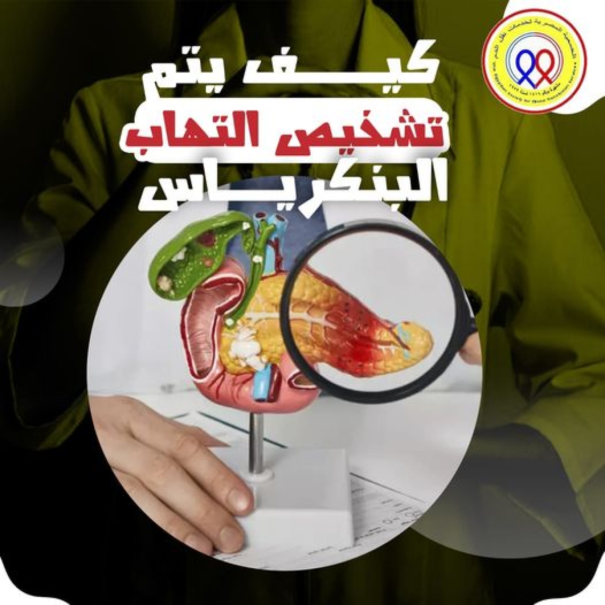 The Egyptian Society for Blood Transfusion Services
