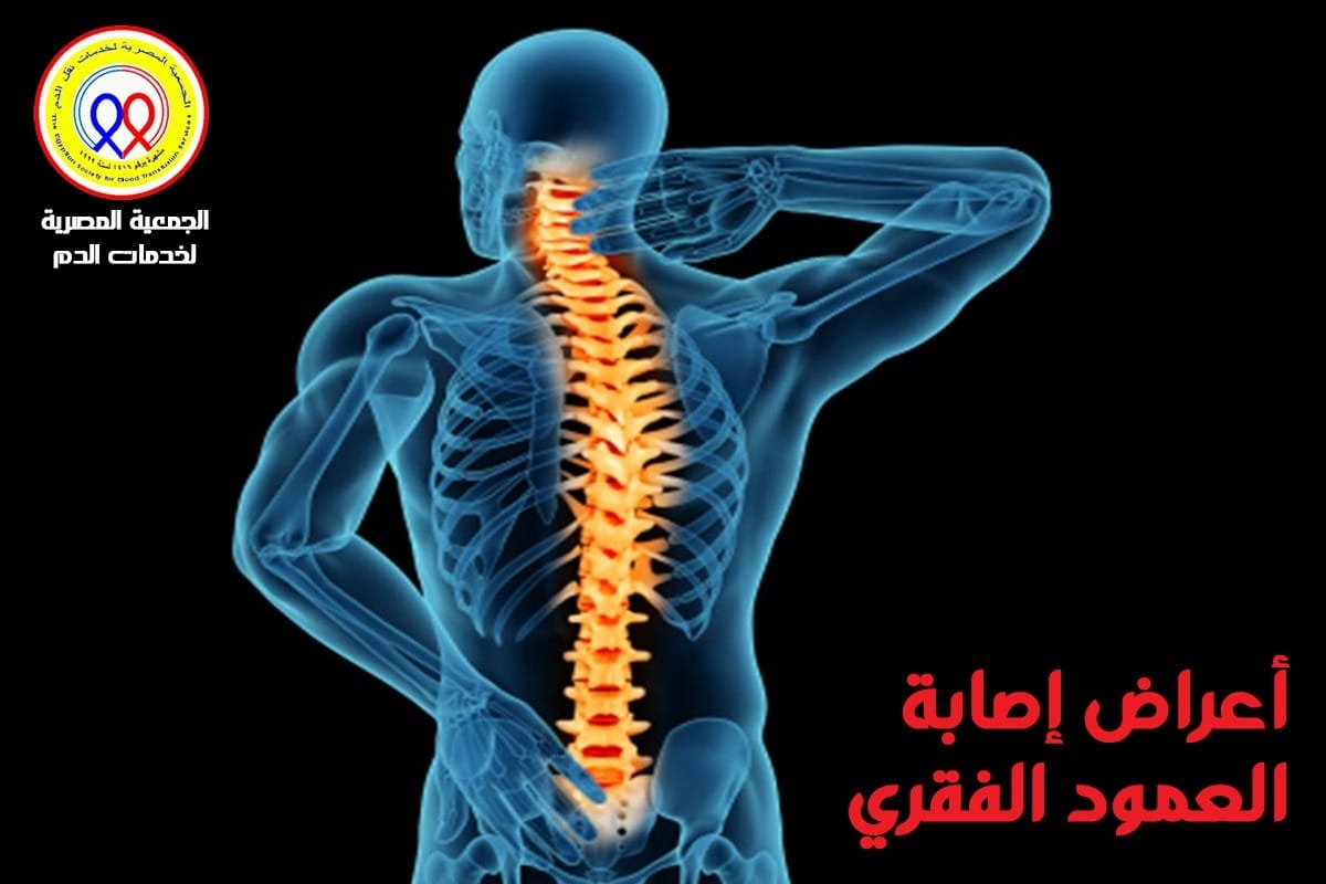 الجمعية المصرية لخدمات نقل الدم