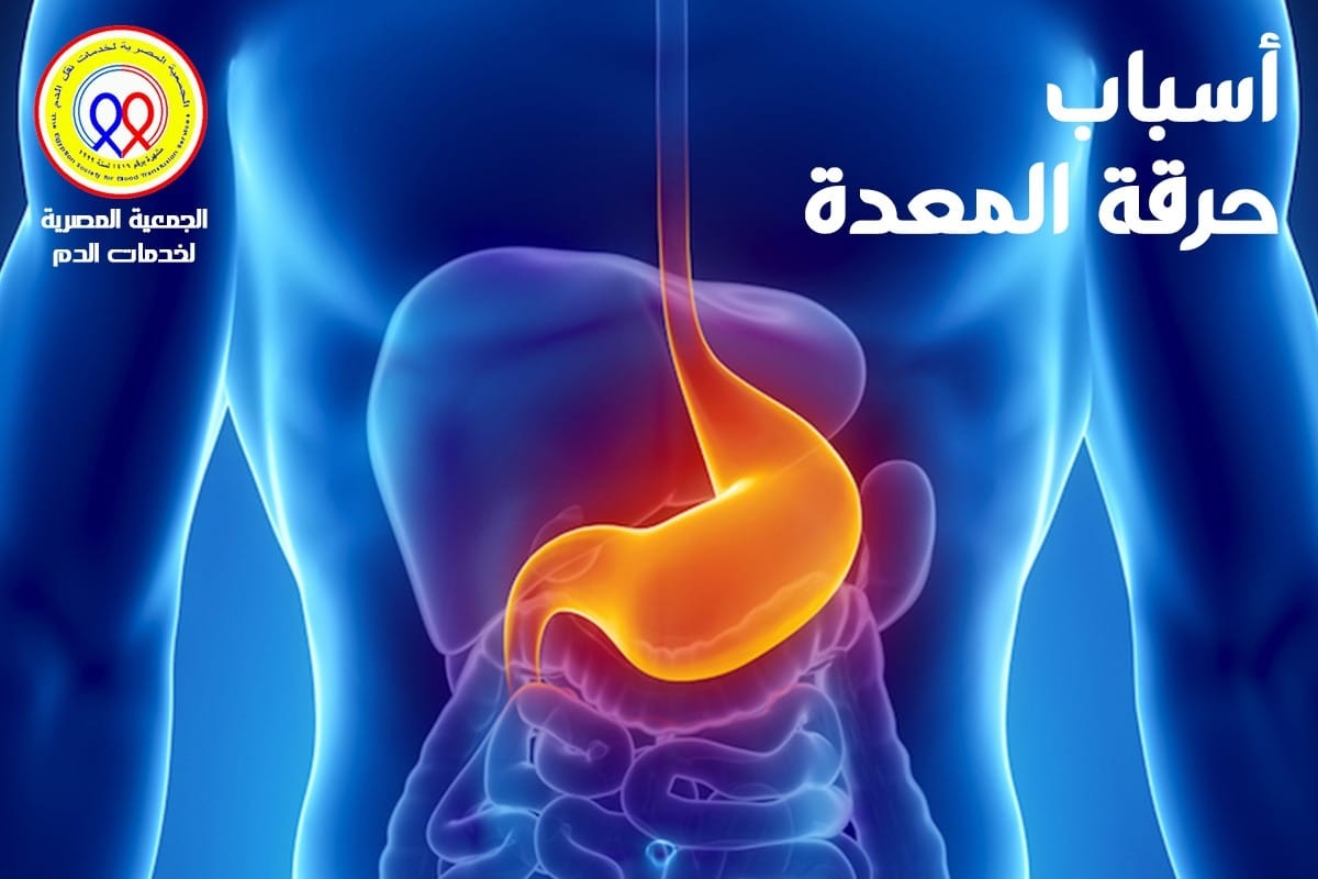 الجمعية المصرية لخدمات نقل الدم