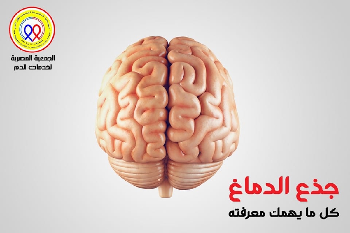 الجمعية المصرية لخدمات نقل الدم