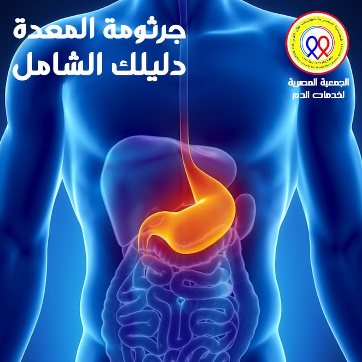 الجمعية المصرية لخدمات نقل الدم