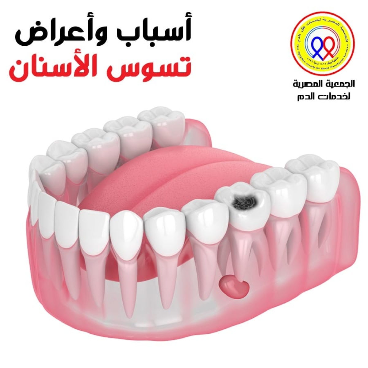 الجمعية المصرية لخدمات نقل الدم