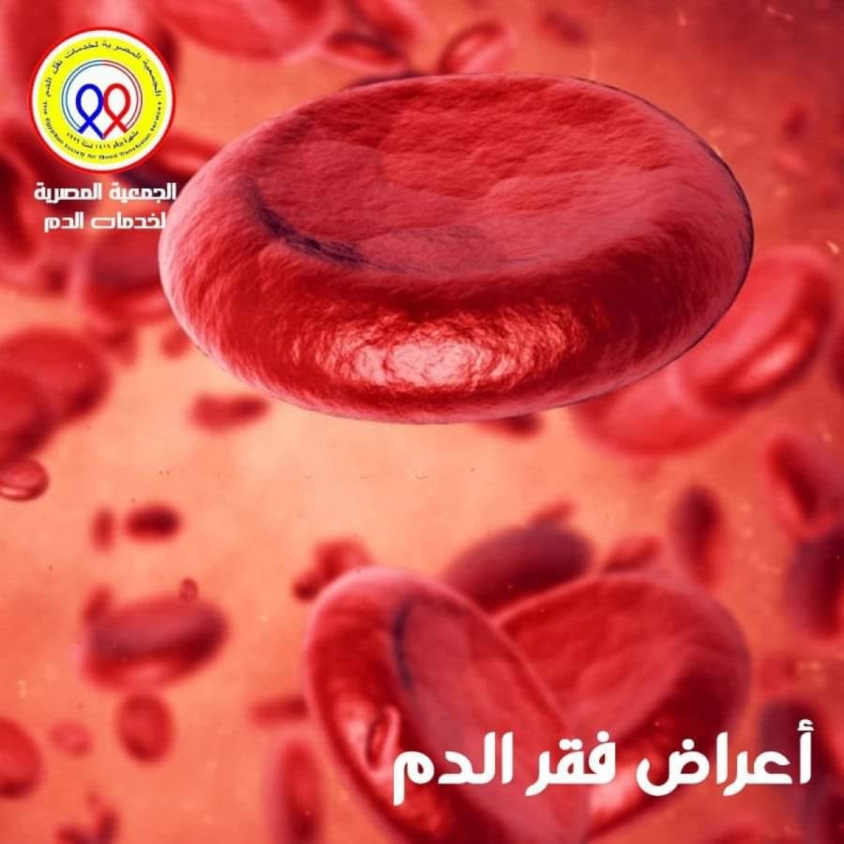 The Egyptian Society for Blood Transfusion Services