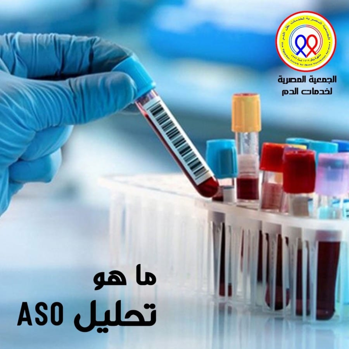 The Egyptian Society for Blood Transfusion Services